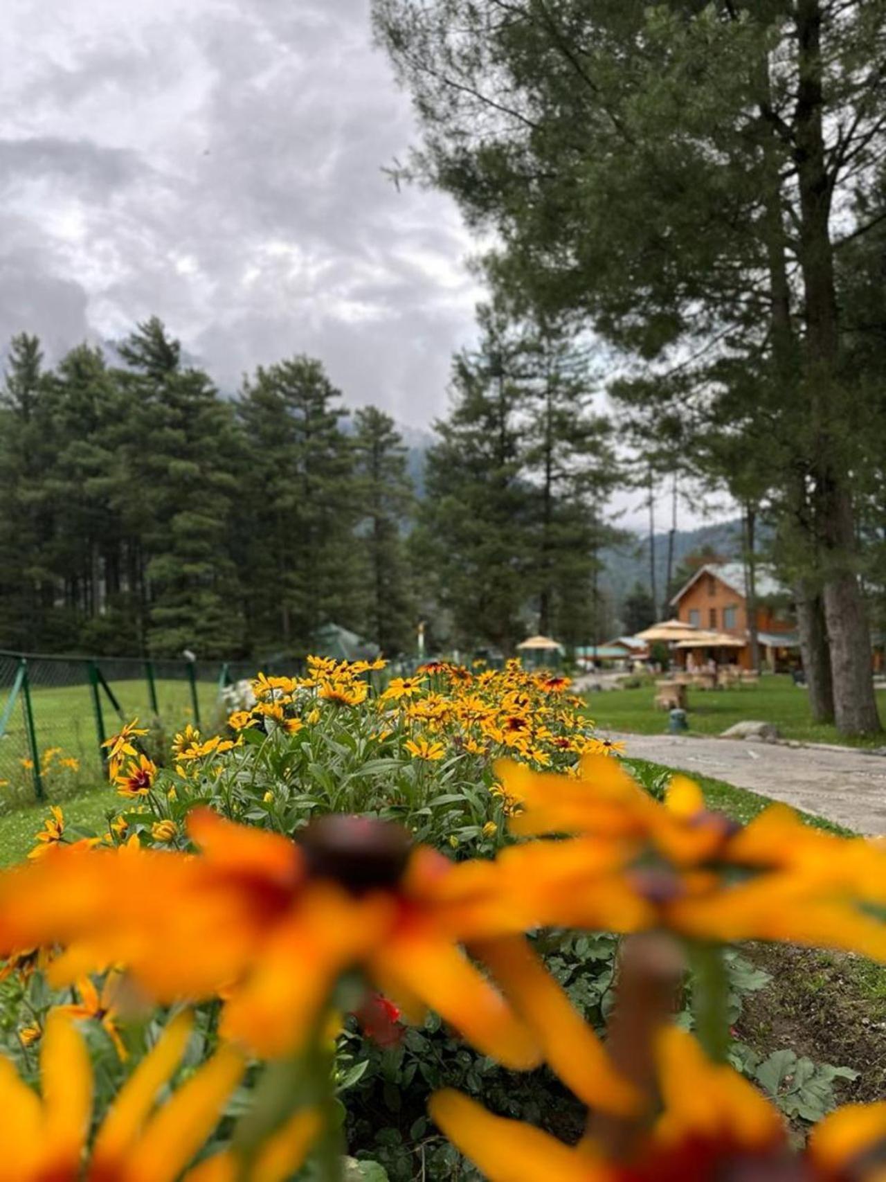 Radisson Golf Resort Pahalgam Ngoại thất bức ảnh